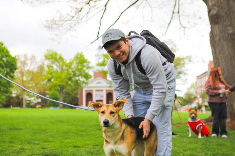 a man with a dog on a leash