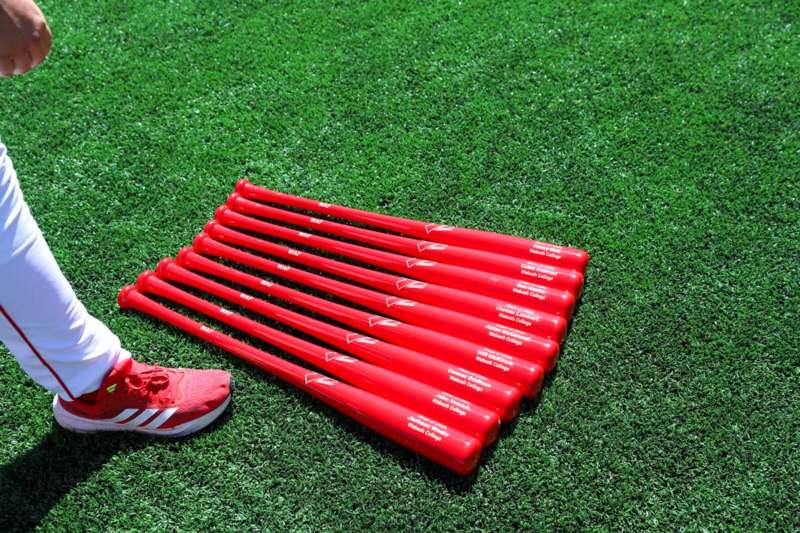 a group of red baseball bats and a shoe on grass