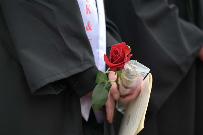 a person holding a rose