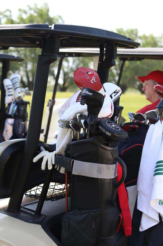 a golf clubs in a bag