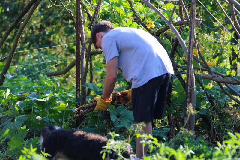 a man holding a stick in a garden