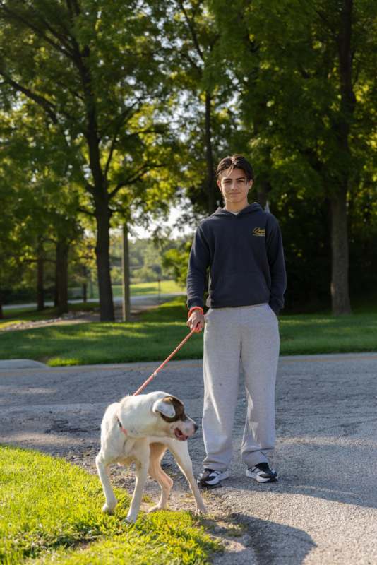 a man walking a dog on a leash
