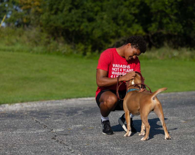 a man petting a dog
