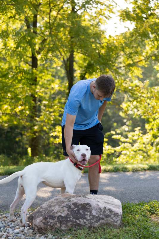 a man petting a dog
