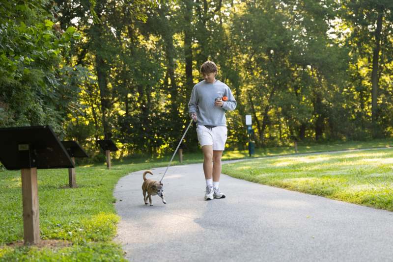 a man walking a dog on a leash