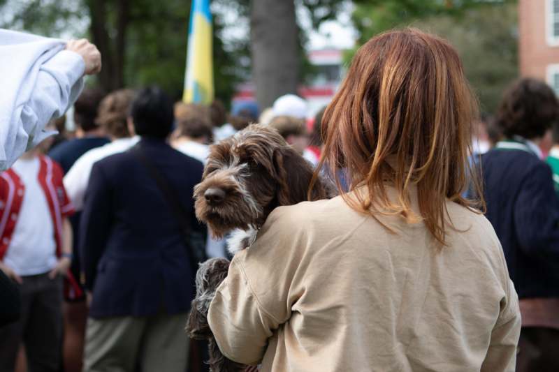 a woman holding a dog